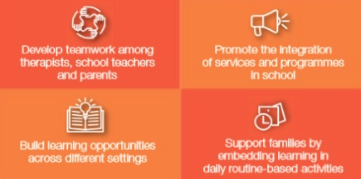 TransDisciplinary Model of Service Delivery